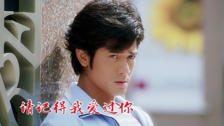 经典伤感歌曲《请记得我爱过你》，快乐变成了伤感记忆，催人泪下