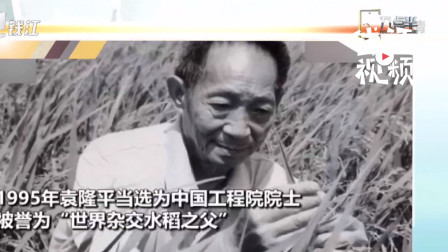 回顾&ldquo;杂交水稻之父&rdquo;生平：一生追求就是让中国人吃饱