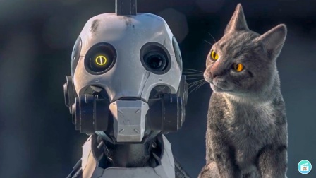 未来世界人类早已灭绝，机器人成了主角，直到猫的出现【热剧快】