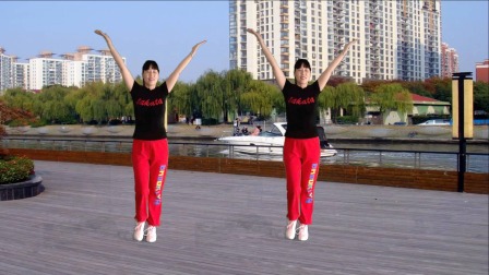 阿真广场舞 第三季 广场舞《没有共产党就没有新中国》简单舞步，大气豪迈