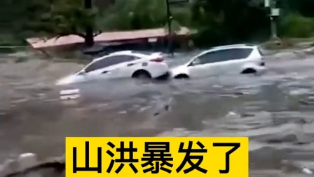 河南多地遭洪水侵袭，多车被冲走，男子不顾危险冲入洪水中救人