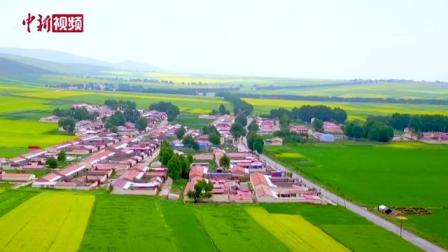 青海省海北藏族自治州门源回族自治县是中国北方最大的小油菜种植基地，近40万亩油菜花盛开，形成&ldquo;万亩油菜花海&rdquo;。