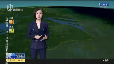 视频|现场直击&middot;上海全力迎战台风&ldquo;烟花&rdquo;