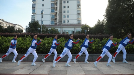 杨丽萍广场舞视频大全 杨丽萍广场舞《火红的萨日朗》经典的美体民族舞
