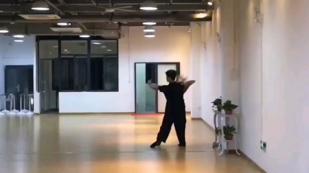 广州月光舞蹈各种双人交谊舞华尔兹速成班基本功班私教培训