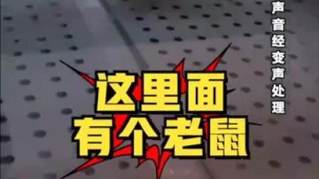食品柜内#老鼠乱窜 涉事#紫燕百味鸡 门店停业整顿 #食品安全 #上海