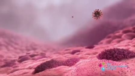 mRNA疫苗VS新冠病毒