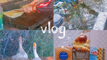 【vlog】干饭/初雪/大白鹅/面包