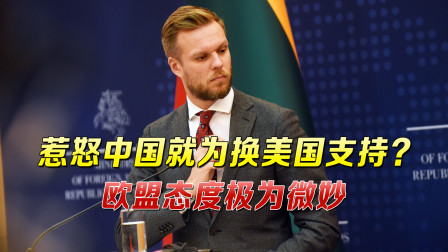 自己没法&ldquo;报复性制裁&rdquo;！连遭中方重击，立陶宛拉欧盟为其出头