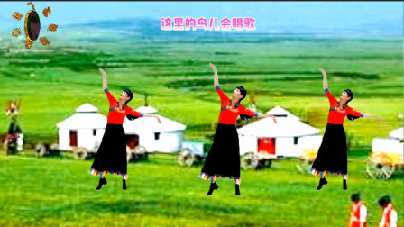 阳光美梅广场舞《草原姑娘最可爱》藏族风格32步-正面演示#舞出美丽舞出健康
