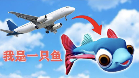 我是一只鱼：塔米小飞鱼打开飞机舱门，一跃而下自由飞翔！