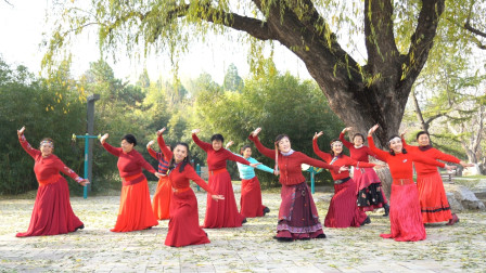 龙缘广场舞《想西藏》节奏欢快，简单好看又好学