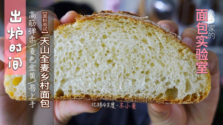 天山全麦乡村面包来自北纬43度黄金产区冬小麦2