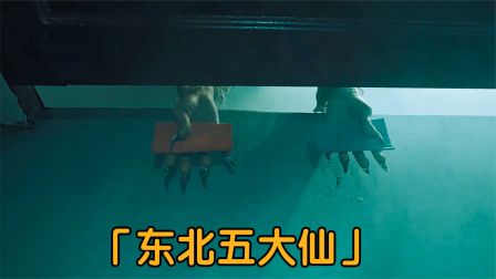 半夜如厕记得带纸，如果遇上冤缠身，你选红手纸还是绿手纸？电影