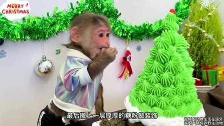 小猴子化身圣诞老人装饰房间做圣诞蛋糕,太暖心了