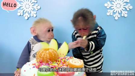 两只小猴子成精了,不仅会逛超市,还用买来的水果做起了大蛋糕
