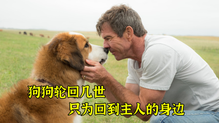 岁月改变你我模样，而我依旧记得你，温暖治愈电影