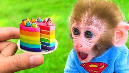 小猴子趣味乐园：主人给小猴子美味的蛋糕，小猴子立刻和小狗分享