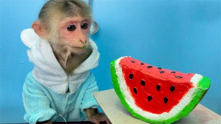 小猴子趣味乐园，聪明小猴子自己动手做西瓜蛋糕，和真西瓜一样！