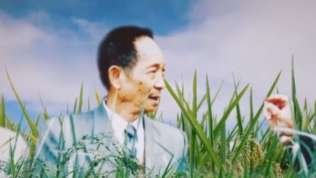 杂交水稻之父袁隆平 袁隆平赴美传授技术被误认为是打工的