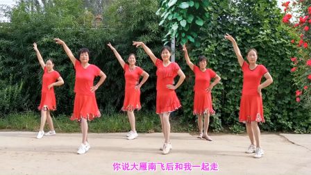 河北青青广场舞64步中级提高 热门团队广场舞《还没有爱够》64步动感好看