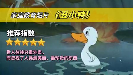 治愈短片：你还记得丑小鸭的故事吗？小鸭子不怕丑，故事也不怕老