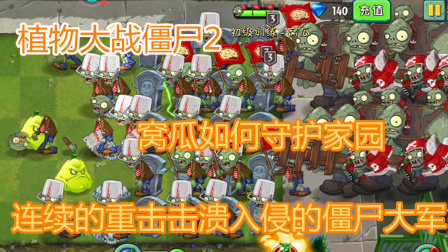植物大战僵尸2：窝瓜如何守护家园，连续的重击击溃入侵的僵尸！