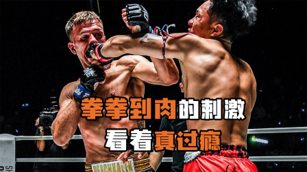 拳拳到肉的重击一次看个够，招数的狠辣让人流连忘返！