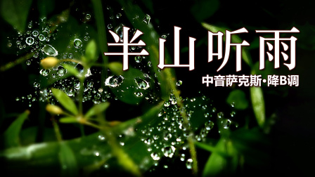 [图]古风纯音乐《半山听雨》，意境如画沁人心脾，萨克斯曲调悠扬！