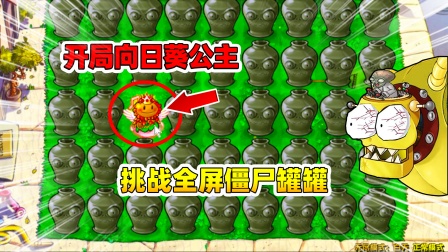 植物大战僵尸黑球解说杂交版 植物大战僵尸杂交版：开局一个向日葵公主，挑战全屏的僵尸罐罐