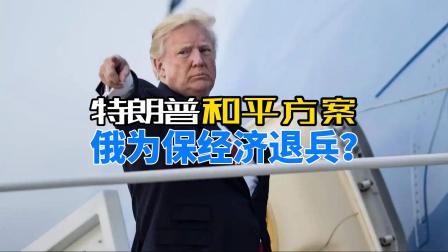 特朗普&ldquo;和平方案&rdquo;曝光，欧洲遭重击，俄为保经济决定退兵？