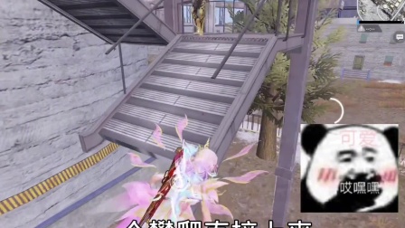 和平精英：生存法则解析 和平精英：狡猾的胖达公主居然敢挤我
