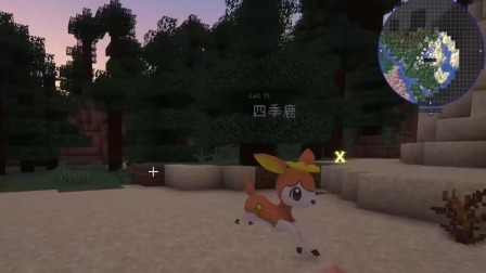 我的世界公主和厨子骑士 带女朋友玩神奇宝贝8：一步一步成为顶尖的训练家！闪光精灵！2