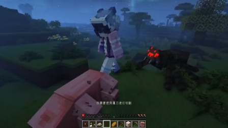 我的世界公主和厨子骑士 公主和厨子骑士1：高端的美食往往只需要最简单的烹饪！3