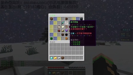 我的世界公主和厨子骑士 超级好玩的生存服务器！手机电脑都能玩！2
