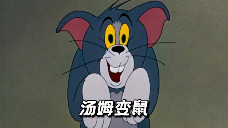 你还记得汤姆变成老鼠吗，把杰瑞都整无语了
