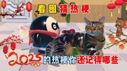 蛋贩子顾梦的游戏日常 看图猜热梗，2025的热梗你还记得哪些？