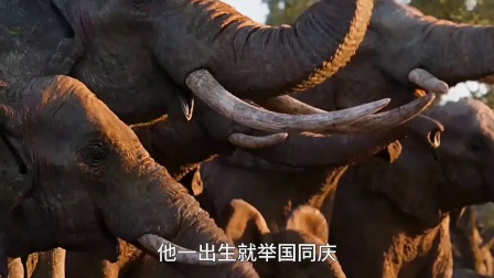 不知道你还记不记得，小时候看过的这部狮子王电影