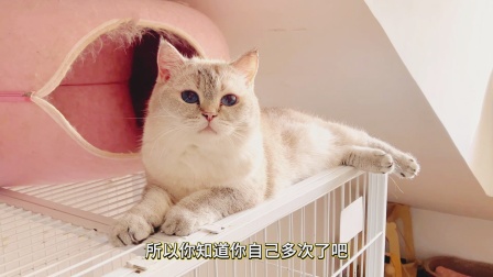 长公主哎呦又开始突破我的防线了