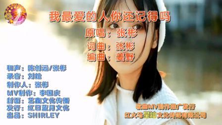 今年最火爆伤感流行歌曲《我最爱的人你还记得吗》  原唱：张彬