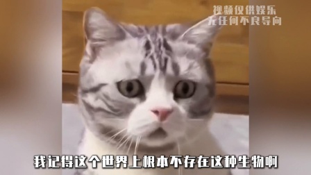 游隼：不是，你开了？我记得这个世界上根本不存在这种生物啊。