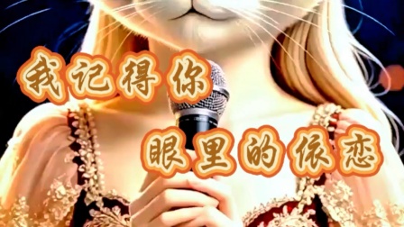 我记得你眼里的依恋