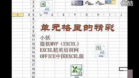 Excel技巧培训视频教程全集(精英培训) - 播单 