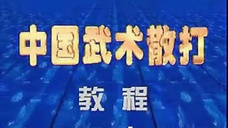 中国武术散打教学（七）裁判规则和技击战术-----教练祁喧