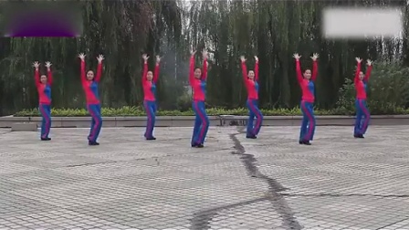 广场舞教学 广场舞蹈视频大全《粉红的玫瑰》