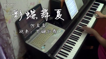 舌尖上的中国《彩蝶舞夏》钢琴_tan8.com
