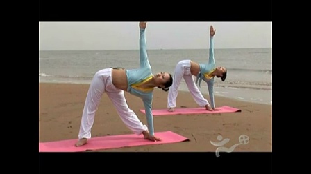 瑜伽入门基础 瑜伽初级教程在家练全套 瑜伽视频教程