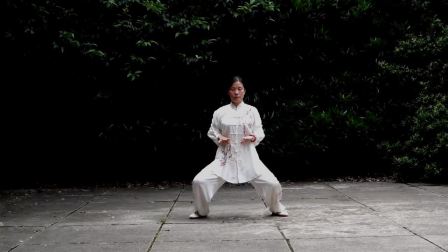 38式三丰太极拳_万宝菊演练