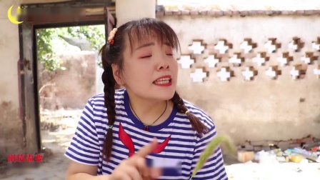 圆圆教伙伴们用狗尾巴草编小兔子，你还记得怎么编吗？满满的回忆