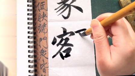 这半年我写了多少种字体，还记得你是从哪个视频开始关注我的吗